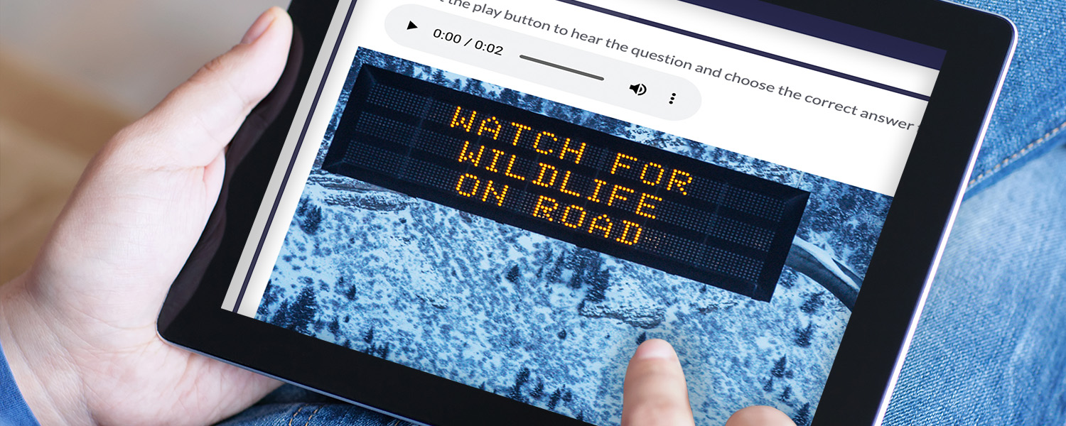 English Language Proficiency Test